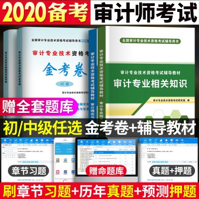 2020年审计师考试书审计理论与实务+审计专业相关知识教材+试卷备考2021注册初级中级审计师初级中级考试用书教材资
