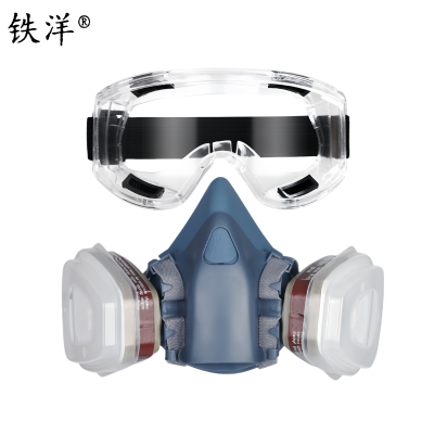 铁洋 呼吸防护面罩 TY-HX005 套