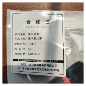 恒兴盛嘉 魔术贴扎带 条