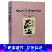 [正版] 哈克贝利.费恩历险记 一部可以与堂吉诃德、浮士德、哈姆莱特相比的作品,无删节全译本马克吐温著 世界文学名著