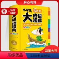 [正版]天天向上 2023小学生大成语词典小学多功能大全四字版彩图字典小学大词典多功能现代汉语词语儿童大字典抖音同款
