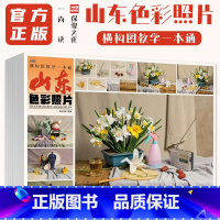 [正版]山东色彩照片横构图教学一本通 2024尚读