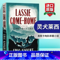 灵犬莱西 [正版]灿烂千阳 英文原版小说 A Thousand Splendid Suns 英文版进口书The Kite