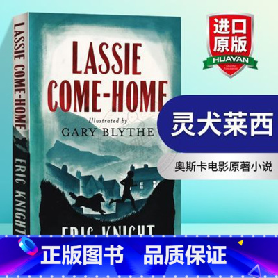 灵犬莱西 [正版]灿烂千阳 英文原版小说 A Thousand Splendid Suns 英文版进口书The Kite