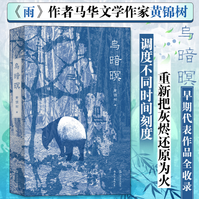 正版新书]乌暗暝黄锦树9787532174003