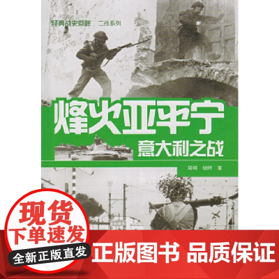 烽火亚平宁——意大利之战