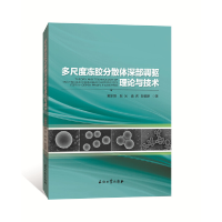 音像多尺度冻胶分散体深部调驱理论与技术戴彩丽等著