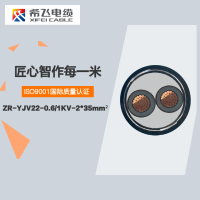 希飞牌 ZR-YJV22-0.6/1KV-2*35mm² 阻燃铜芯低压铠装电缆 元/米 联系客服 定制商品