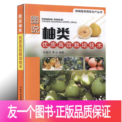 文旦柚种植价格 文旦柚种植最新报价 文旦柚种植多少钱 苏宁易购