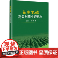花生氮磷高效利用生理机制 杨丽玉 编 中国农业科学技术出版社9787511665034