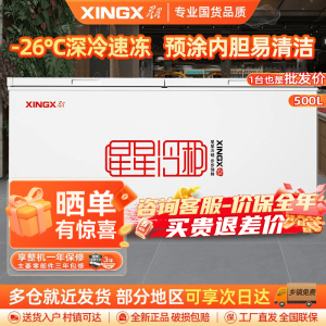星星(XINGX) 500升 商用卧式冷柜 冷藏冷冻转换 冰柜 商用保鲜设备 微霜系统 节能省电 BD/BC-500R