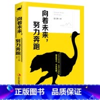 [正版]向着未来努力奔跑 写给年轻人爱正能量信心青春文学小说成功励志书籍 暖心著作 青少年人生哲理女性心灵鸡汤YC