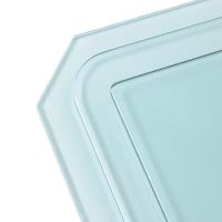 诚智旺 钢化玻璃(防爆型) FBBL-1 /平方米