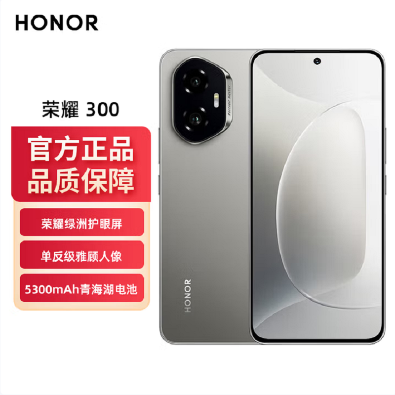 荣耀300 苍山灰 12GB+256GB 第三代骁龙7芯 5G 5300毫安青海湖电池 100W快充 拍照手机