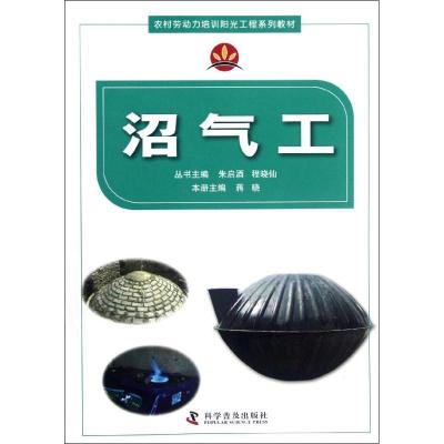 正版新书]沼气工蒋晓9787110077177