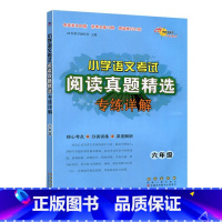 6年级语文真题精选 小学通用 [正版]小学语文考试阅读数学应用题真题精选专练详解3三4四5五6六年级文言文古诗词专项训练