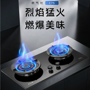 金龍燃气灶JZT-JL-C75不锈钢面板全铜火盖经久耐用聚能炉架