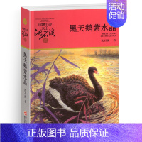 黑天鹅紫水晶 [正版]混血豺王沈石溪小学四年级五年级全集全套书浙江少年儿童出版社非注音版完整版动物小说大王品藏书系小学生