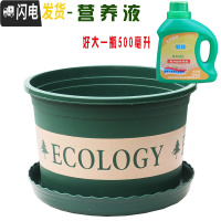 三维工匠塑料玫瑰盆栽花肉肉绿萝月季专用加伦树脂家用特大号超大加 [3个盆]+营养液1瓶 矮胖1.7L(口径15.花盆容器