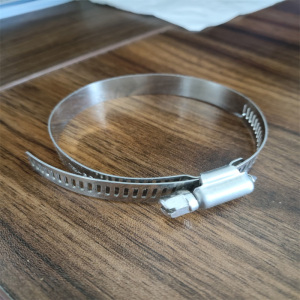 智铁 不锈钢喉箍卡箍 ZT-02 个