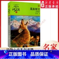 混血豺王 [正版]书店 混血豺王 动物小说大王沈石溪·品藏书系 中/小学生阅读少儿读物 儿童文学