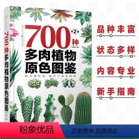 [正版]700种多肉植物原色图鉴 第二版 多肉植物图鉴养多肉的书多肉养殖书籍多肉养殖教程多肉图谱图鉴多肉品种大全