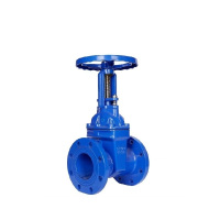 伟鹏双兴 法兰软密封明杆闸阀 DN50 台