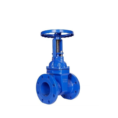 伟鹏双兴 法兰软密封明杆闸阀 DN50 台