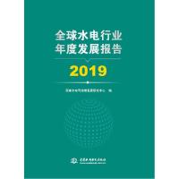 正版新书]水电行业年度发展报告 2019国家水电可持续发展研究中