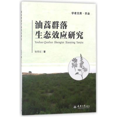 油蒿群落生态效应研究