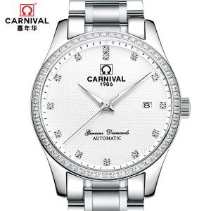 正品嘉年华Carnival手表男士全自动机械表 男表精钢金属时尚休闲商务防水夜光男表金色男腕表8739钻圈