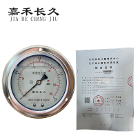 嘉禾长久 耐震压力表轴向带边(带辽宁省级检定证书)YTN100ZT 块