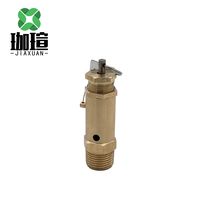 珈瑄 A21W-16T安全阀 全铜弹簧式空压机安全阀泄压阀 DN20 个
