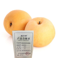 新全新连州水晶梨500克/份