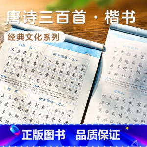 唐诗三百首-楷书 [正版]字帖楷书练字高中小学儿童钢笔字帖成年楷书入门基础训练大学生硬笔书法练字本书法字帖大开本唐诗三百