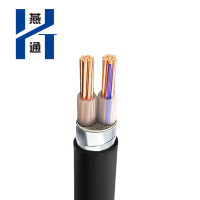 燕通 YJV22两芯铠装电源线/米