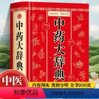 [正版]中药大辞典 精装版全套 原版 中药学书籍词典 辞典中药书中药材中药字典中医药大词典药学医学工具书药膳大辞典剂量