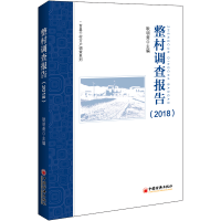 音像整村调查报告(2018)耿明斋 编著