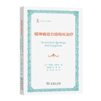 音像精神病动力结构化治疗[法]吉塞拉·潘科夫