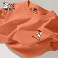 啄木鸟男士t恤夏季重磅纯棉短袖男款2025新款大码宽松男生半袖男Y