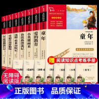 [全7本]六上必读+六下必读 [正版]爱的教育 六年级上册课外阅读书目 原版原著 快乐读书吧6年级老师推必 小学生课外阅