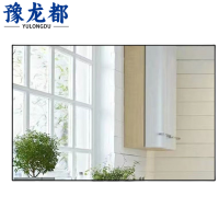 豫龙都镜子60*80个