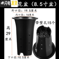 三维工匠塑料加厚加高兰盆带壁孔和不带壁孔款式花盆底自带沥水罩 3号兰花盆[8.5寸]没有拖盘 5个[同号]花盆容器