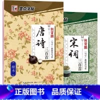 [正版]唐诗宋词字帖全2册荆霄鹏楷体字帖 唐诗宋词三百首精选 带透明蒙纸描摹成人练字楷书 楷书古诗词钢笔墨点字帖楷书写法