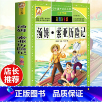 [选3本29.8元]汤姆索亚历险记 [正版]格林童话全集安徒生童话注音版 伊索寓言一千零一夜一二三年级1-3小学生上册阅
