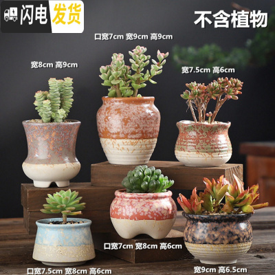 三维工匠多肉花盆陶瓷粗陶透气老桩创意个性肉肉植物陶罐小号家用 喷点-HS陶盆组合6个 中等花盆容器