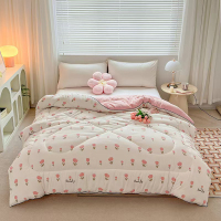 三水依梦柔肤春秋被160*210cm 条