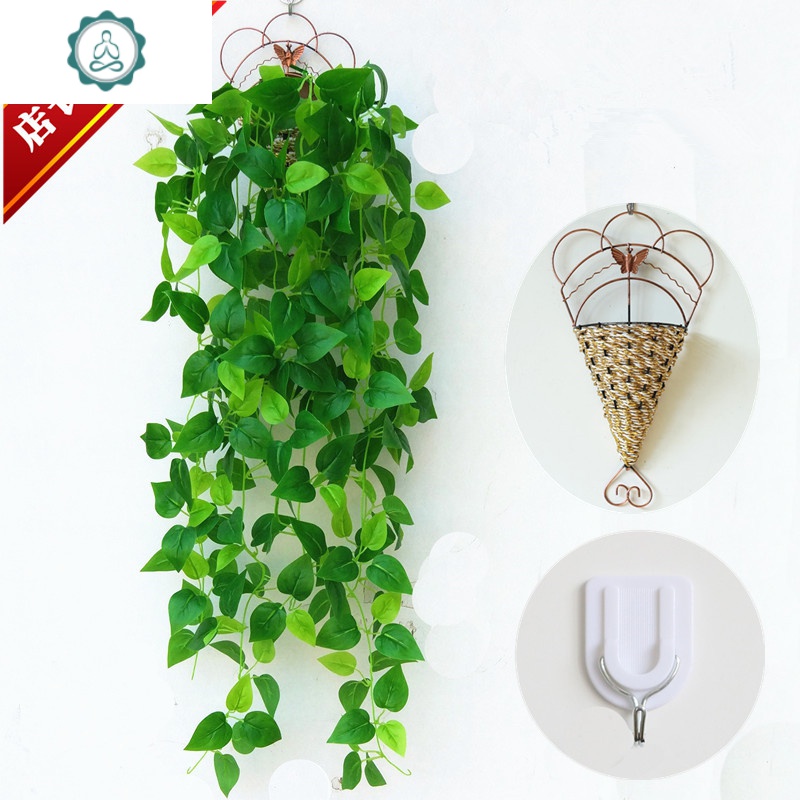 绿叶树叶绿萝叶子吊兰室内壁挂装饰藤蔓 封后 花边绿萝一束(送挂篮)
