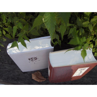 [M]发现汉字 唐汉 著 著作 -9787505131996