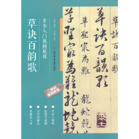 音像草书入门视频教程王丙申 编